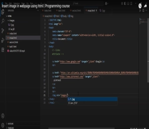 Insert image in webpage using html | Programming course