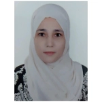 نهى على ليل