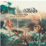 Doaa Taha